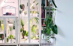 宜家温室橱柜是宜家室内植物风扇的终极设计