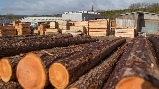 Timber group eyeing significant growth in 2022